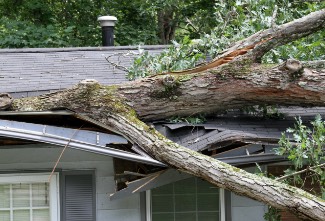 wind-damage